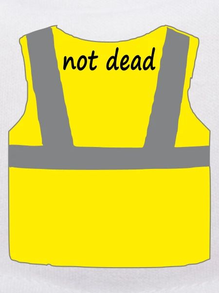 Yellow vest