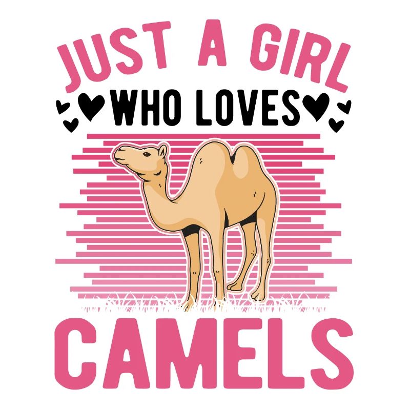 Kamel Mädchen Dromedar Ägypten Großkamel