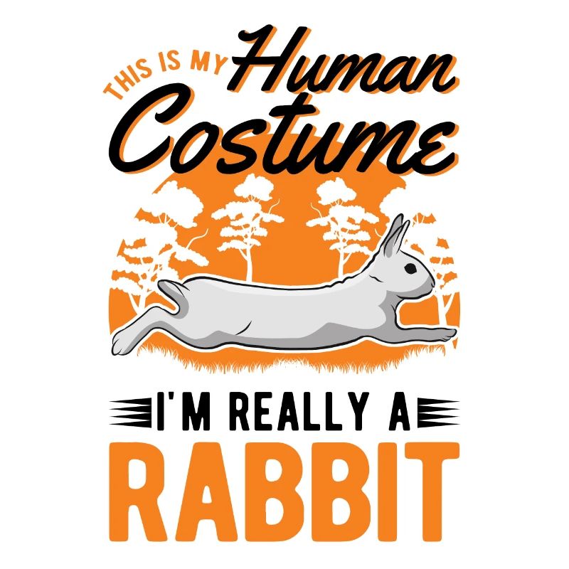 Rabbit Costume Bunny Rabbit Rabbit
