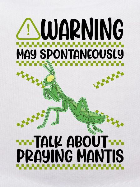 Gottesanbeterin Mantis Fangschrecke