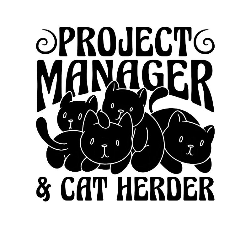 Project Manager & Team Leader Project Manager
