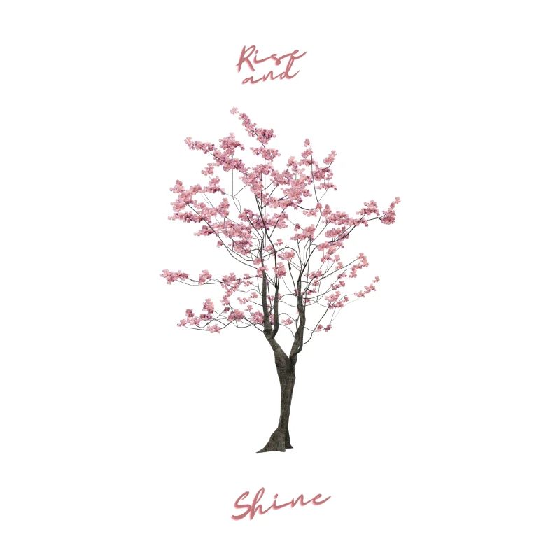 SAKURA TREE. Grow up and flourish.