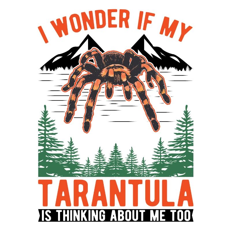 Tarantel Spinne Tarantula