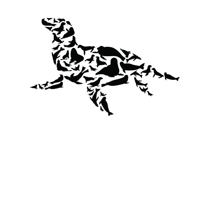 Phoque Lion de mer Phoque Silhouette