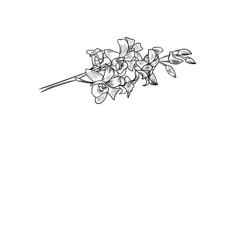 Fleur d’orchidée fleur parfum