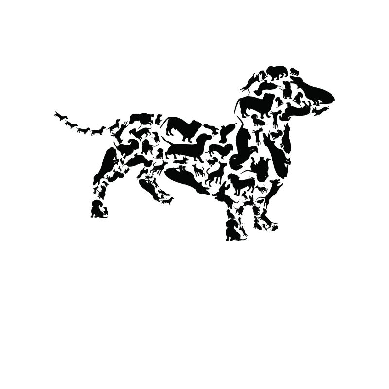 Teckel, Chien, Teckel, Maman, Teckel, Papa
