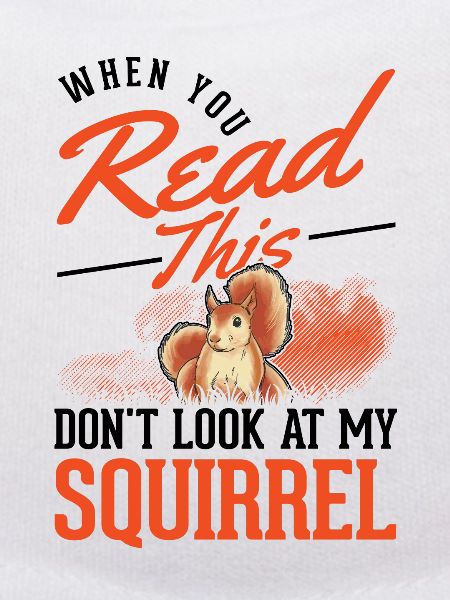 Squirrel Gift Grey Squirrel