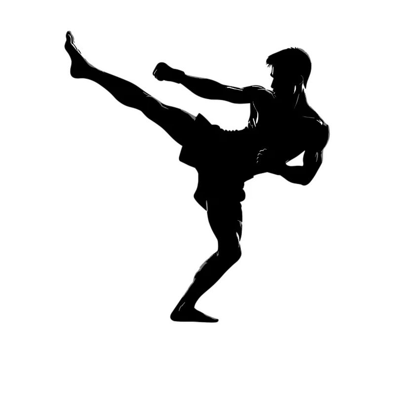 Conception de combattant d’arts martiaux
