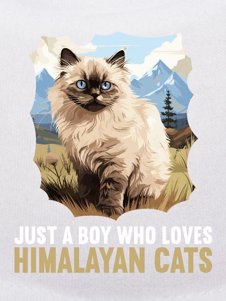 Himalayan Cat Colourpoint Katze