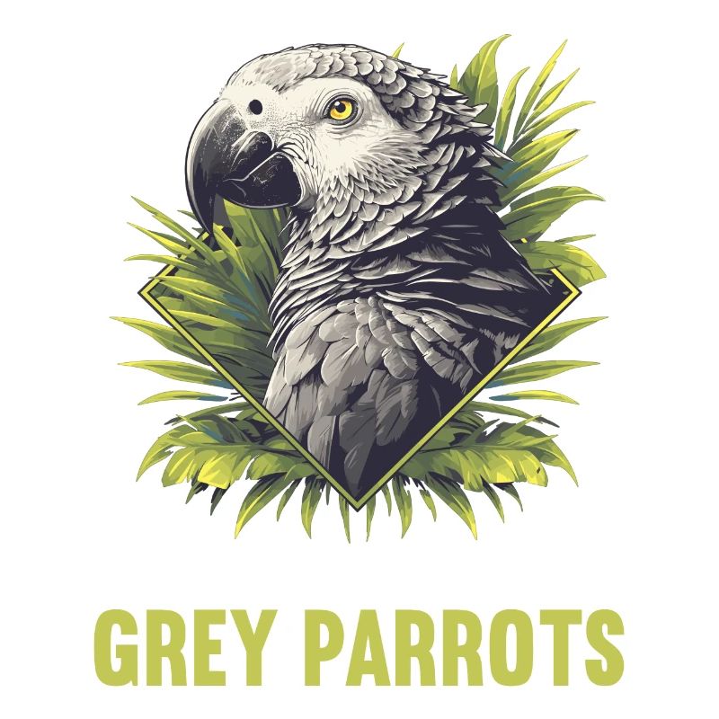 Perroquets gris d’Afrique