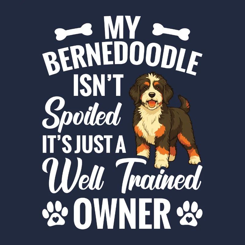 Mon Bernedoodle n’est pas gâté, c’est juste