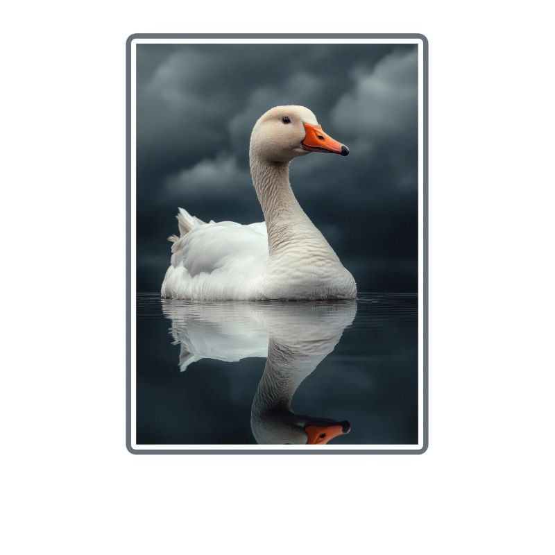 Gänse Gans