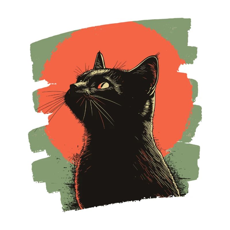 Black cat