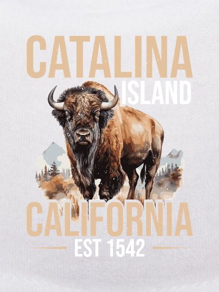Catalina Island Birthday Crew