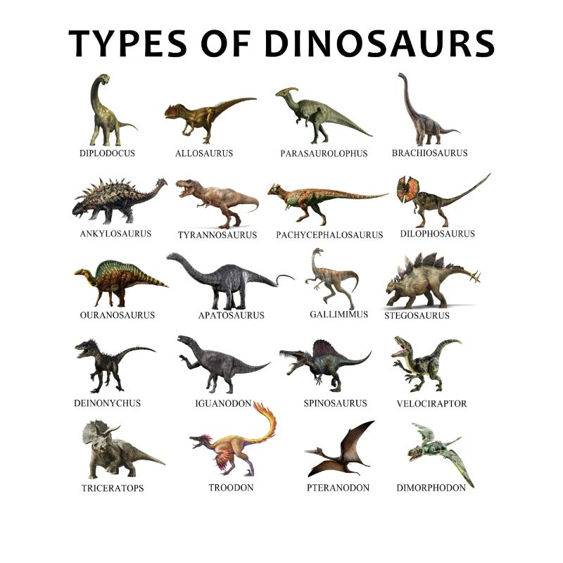 Types of Dinosaurs