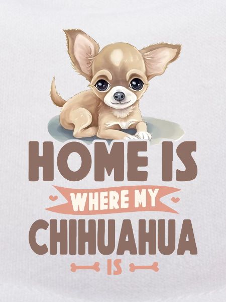 Chihuahua Chihuahueño Home Is