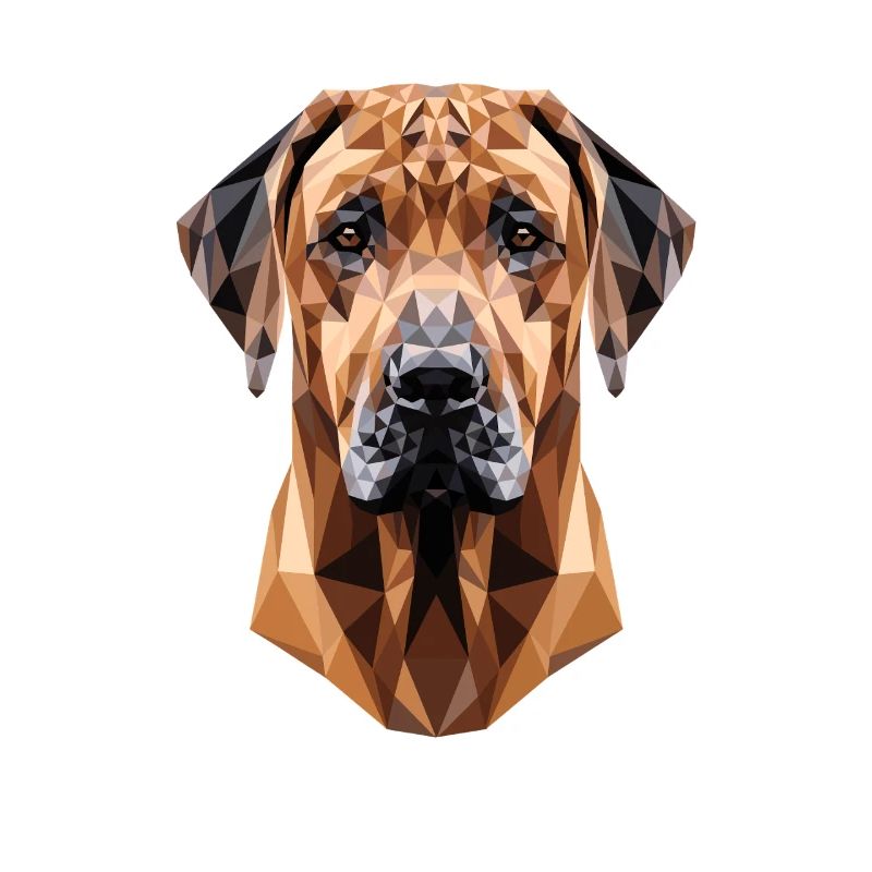 Rhodesian Ridgeback Hunting Dog Dogs Pride Ridgeback