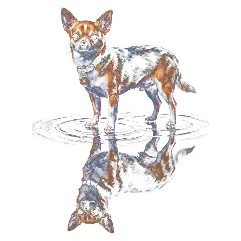 Chihuahua Water Reflection