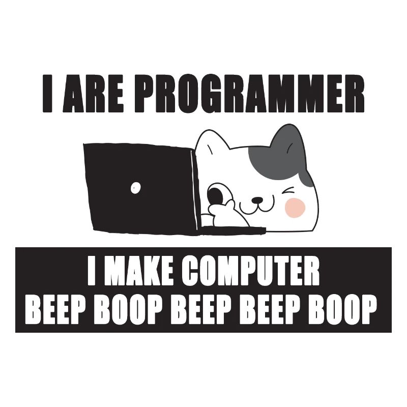 Ich bin Programmierer