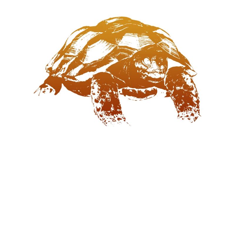 Schildkröte