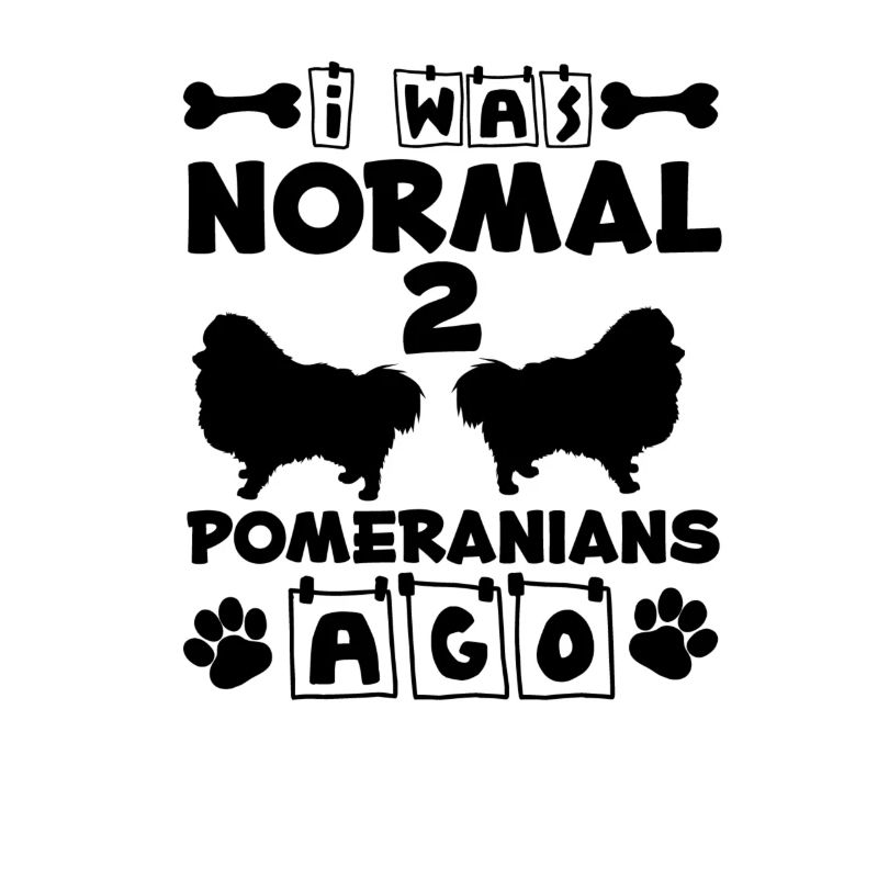 Spitz Pomeranian Zwergspitz Chien