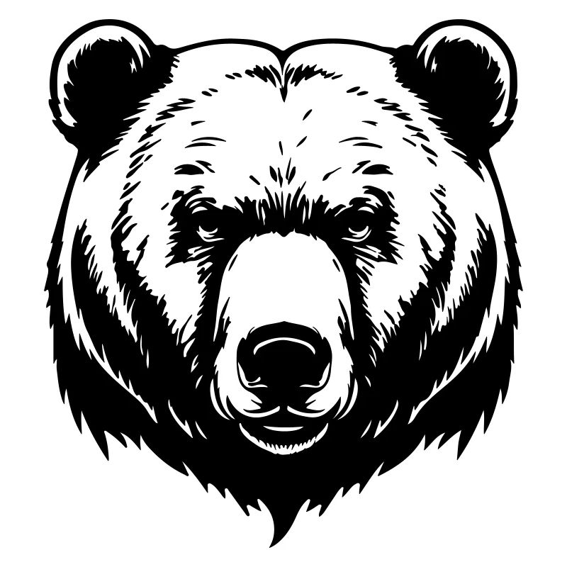 Tête de grizzli d’ours