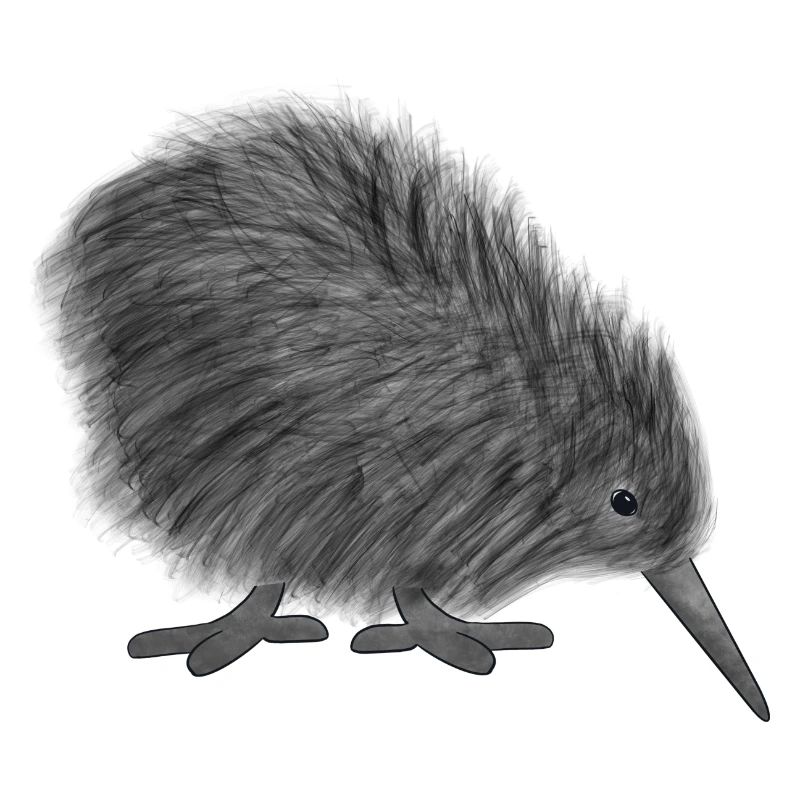 Kiwi Vogel