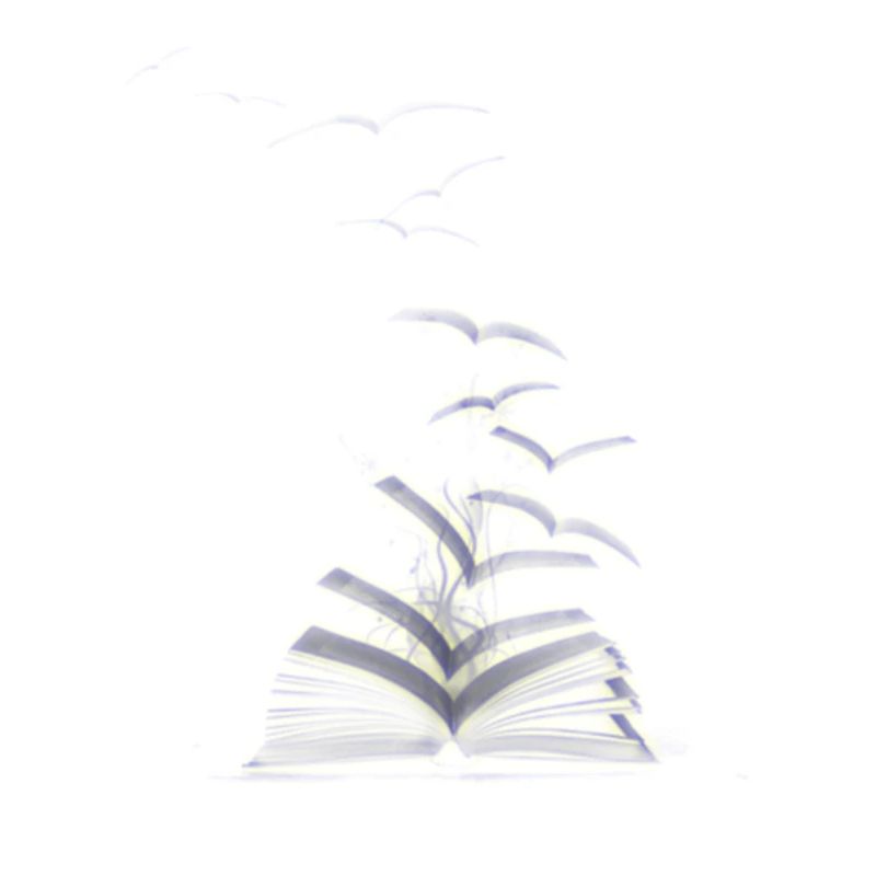 DAS LERNEN VON BÜCHER