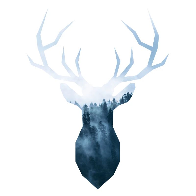 brouillard Hirsch