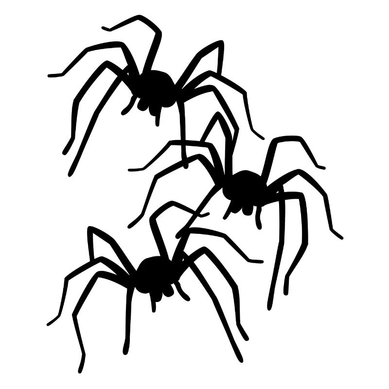 Spider spiders phobia fear panic horror