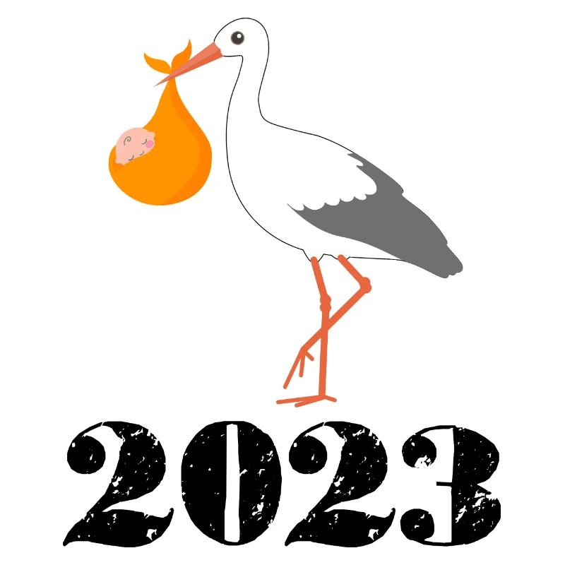 Bébé arrive en 2023, enceinte en 2023, cigogne arrive