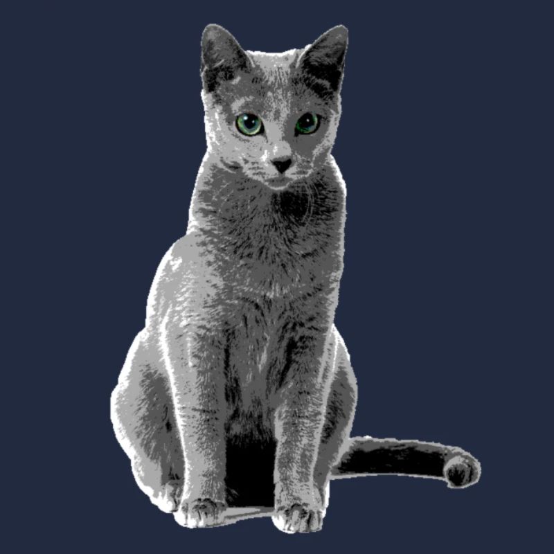 Chat bleu russe