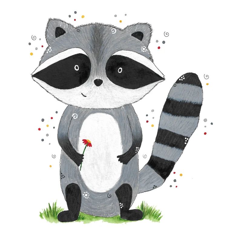 Waschbär Emil