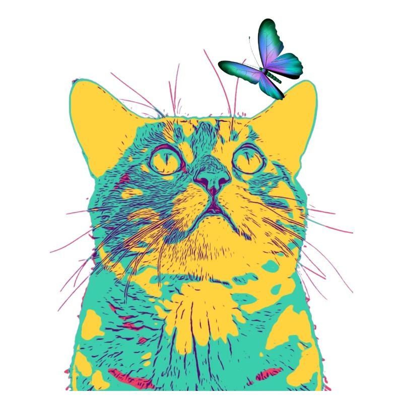 le papillon aime le chat