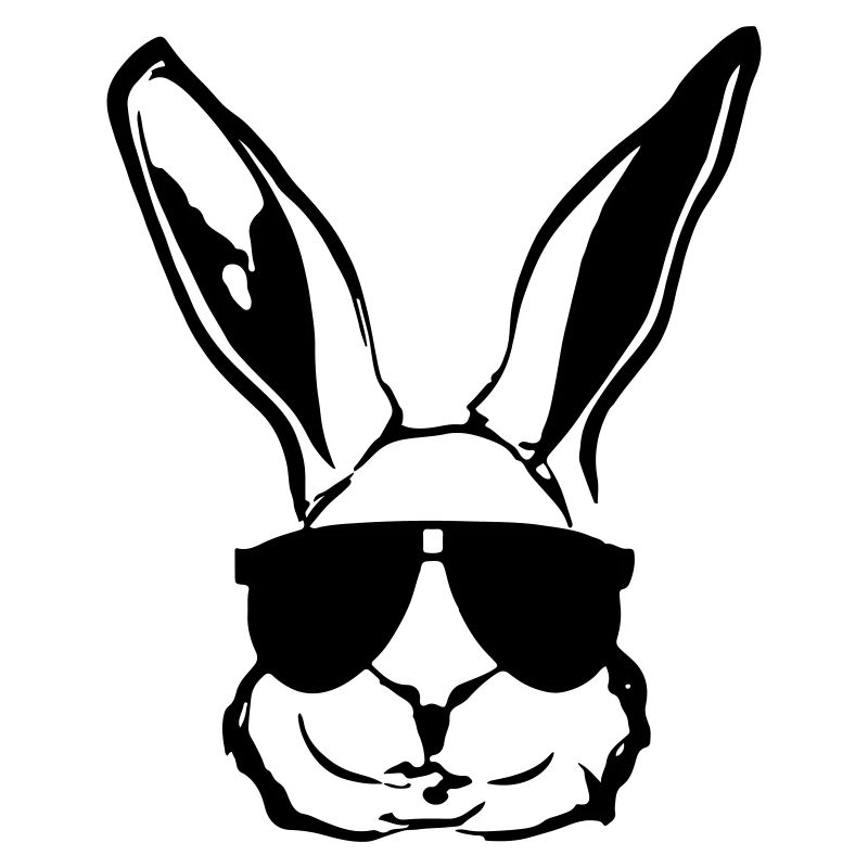 Rabbit with sunglasses Rabbit's head Gift idea