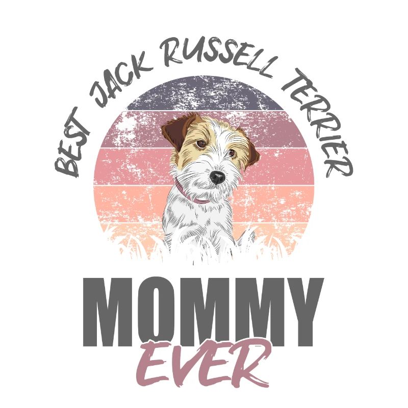 Jack Russell Terrier