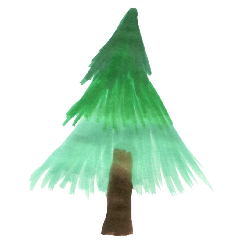 Weihnachtsbaum