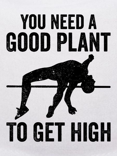 Fun pole vault