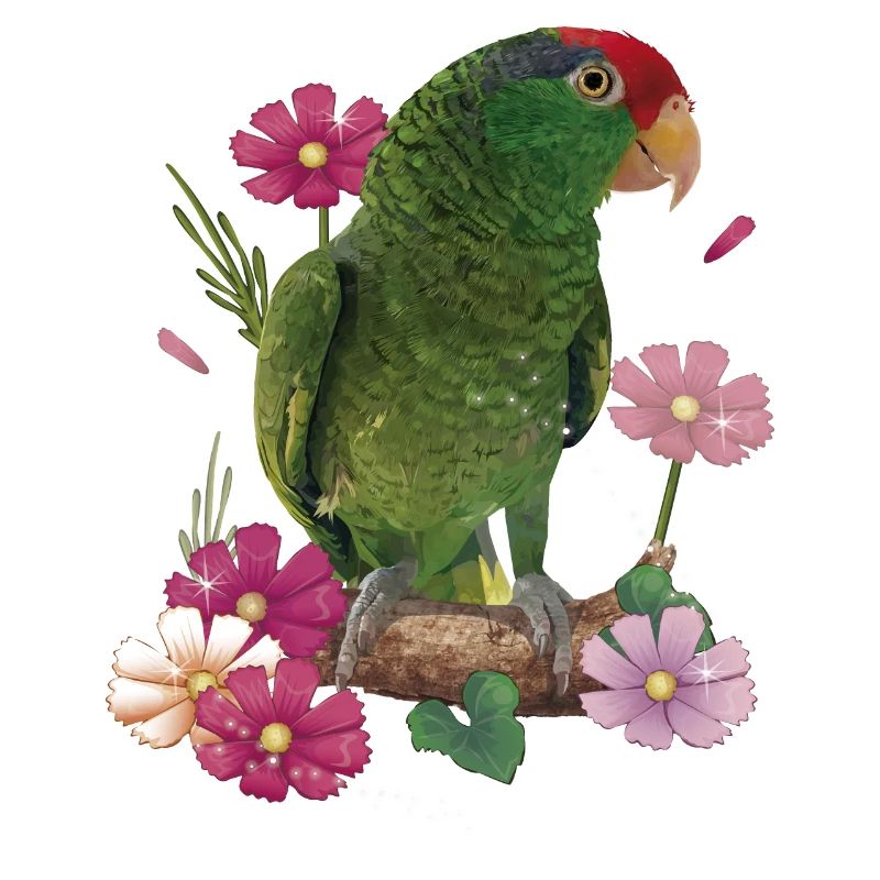 The Tamaulipas parrot
