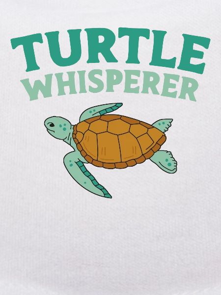 Sea Turtle Tortoise Turtle