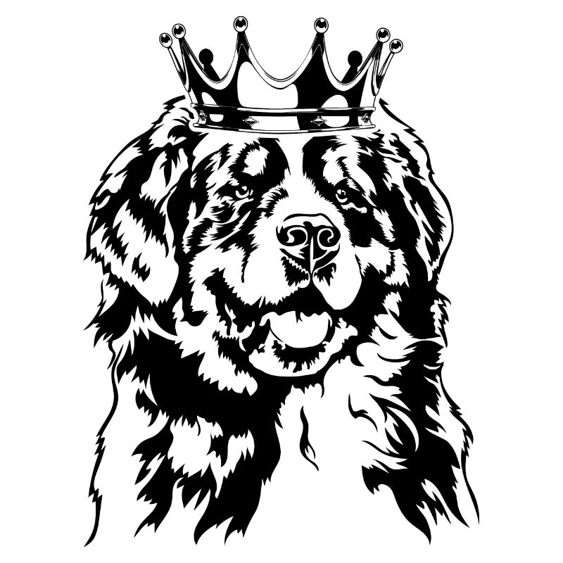 Bouvier Bernois Krone Chiens Chien Wilsigns