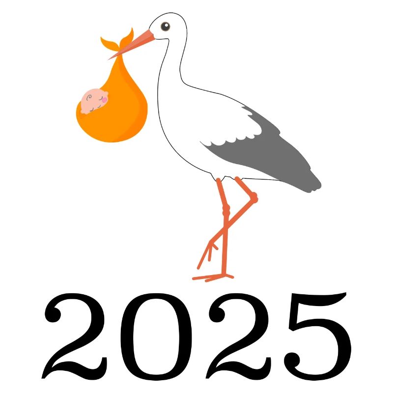 La cigogne amène le bébé, bébé arrive bientôt, maman 2025