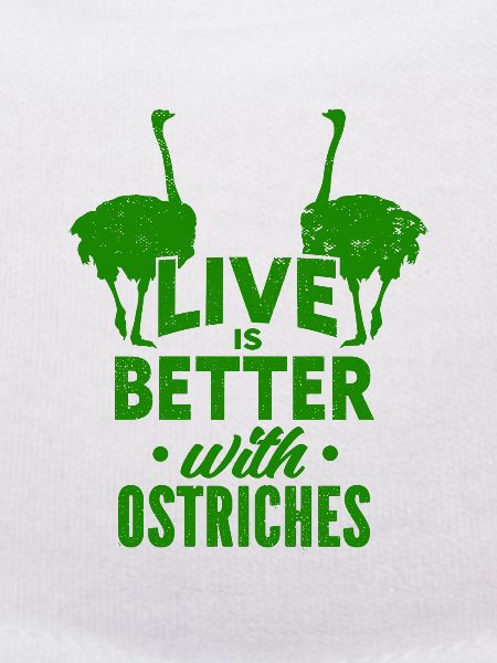Ostrich - Animals