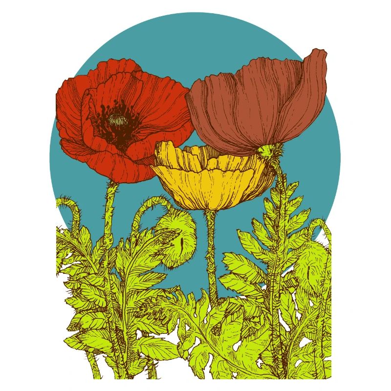 Coquelicots