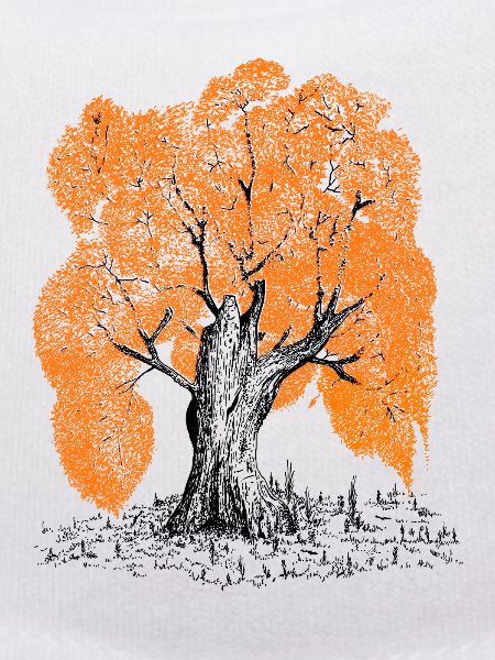 MJR - Orange Tree