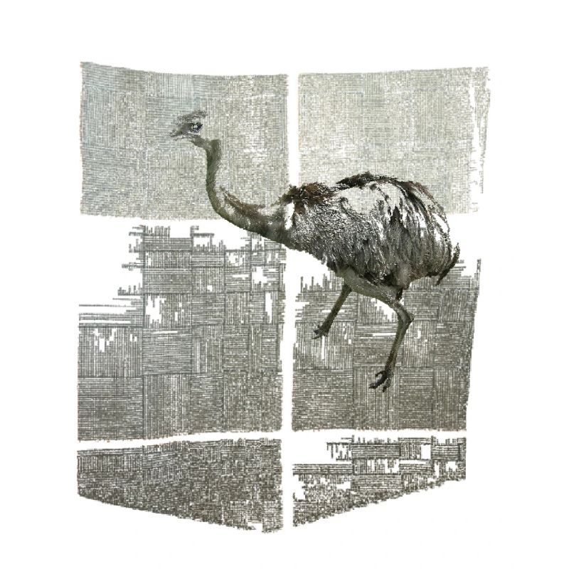 Brusttaschendesign mit Nandu