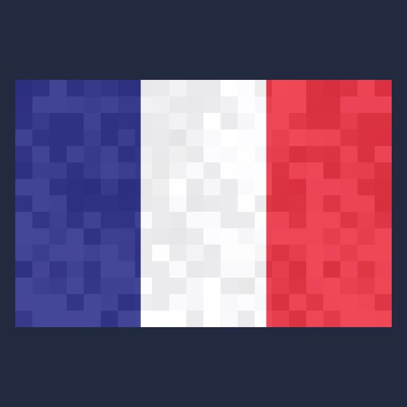 France Drapeau utilisé Look Drapeau français