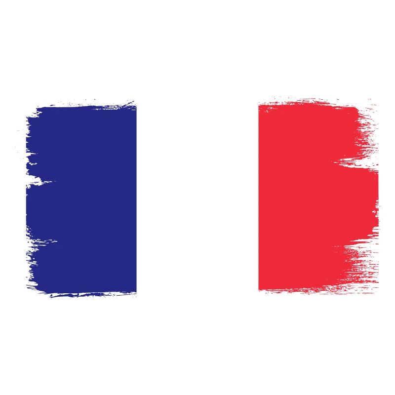 France Drapeau utilisé Look Drapeau français