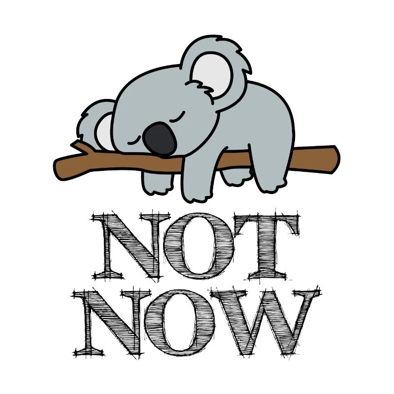 Not Now Koala Life