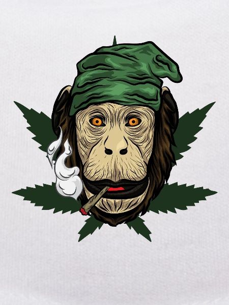 Kiffender Monkey With Joint